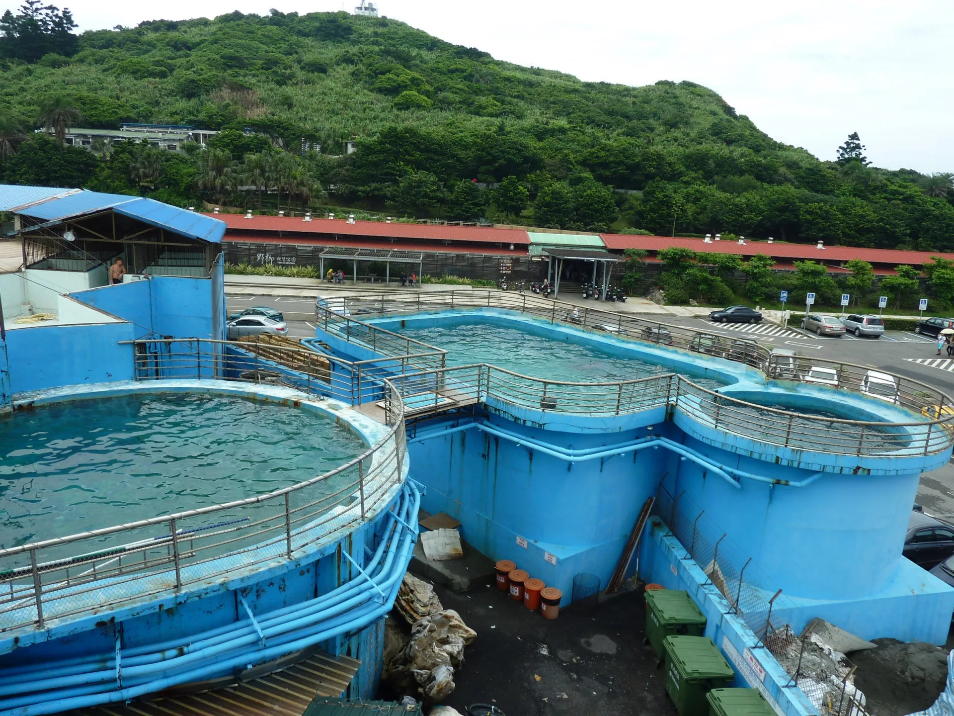 野柳海洋世界圈養空間狹小,嚴重限制海豚社交、覓食與自然行為的表現。台灣動物社會研究會提供