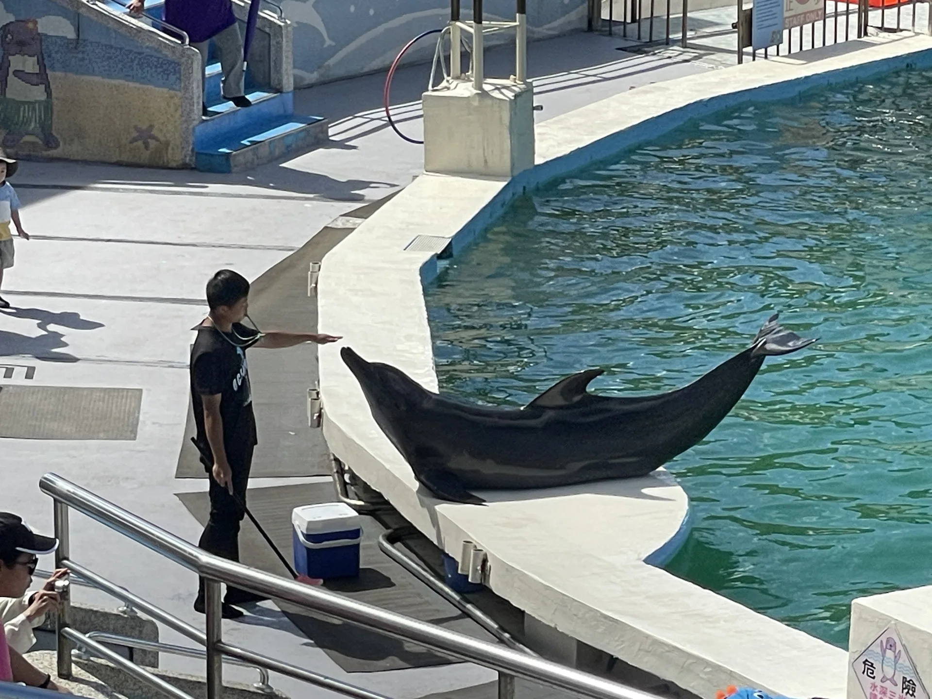 台灣動物社會研究會指出,街頭調查顯示,76%的家長認為海洋動物表演偏重娛樂,僅5%會以此作為教育工具。台灣動物社會研究會提供