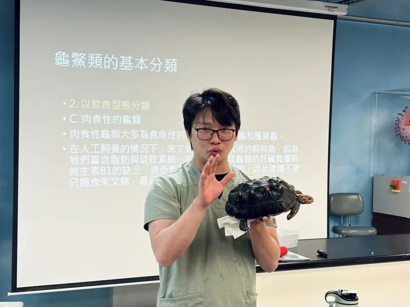 高市推小小獸醫體驗營　讀懂狗狗貓咪語言探索動物