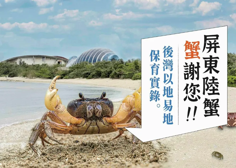 《屏東陸蟹》新書發表　記錄後灣以地易地保育實錄