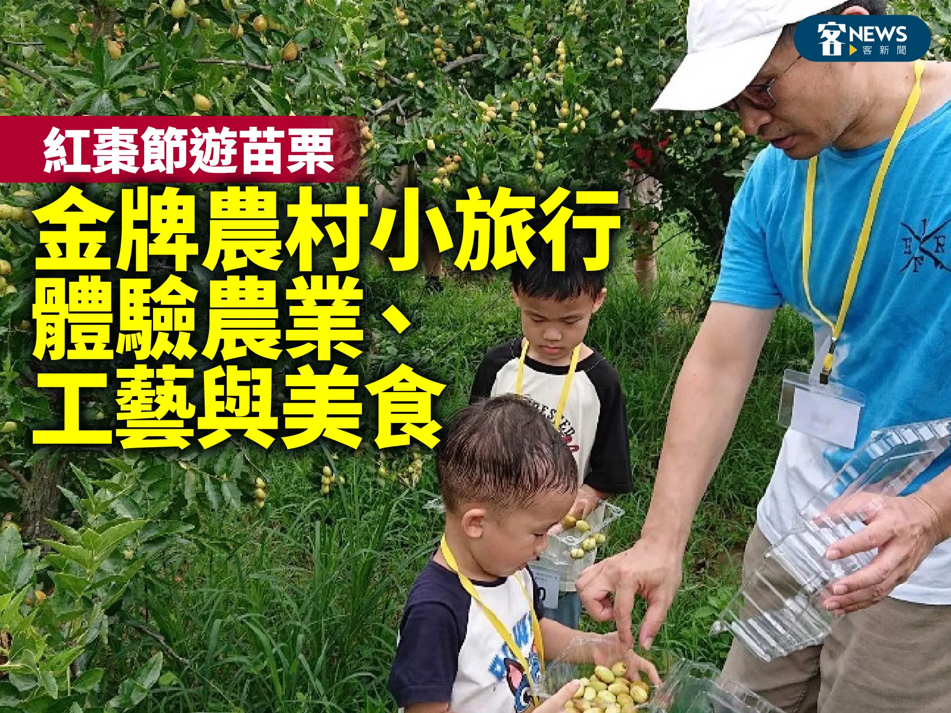 紅棗節遊苗栗　金牌農村小旅行體驗農業、工藝與美食