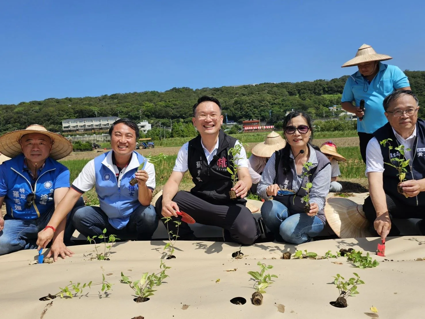 桃園市副市長蘇俊賓今（7）日前往楊梅區，與學童一同體驗鋪設紙膜及種植仙草。桃園市政府提供
