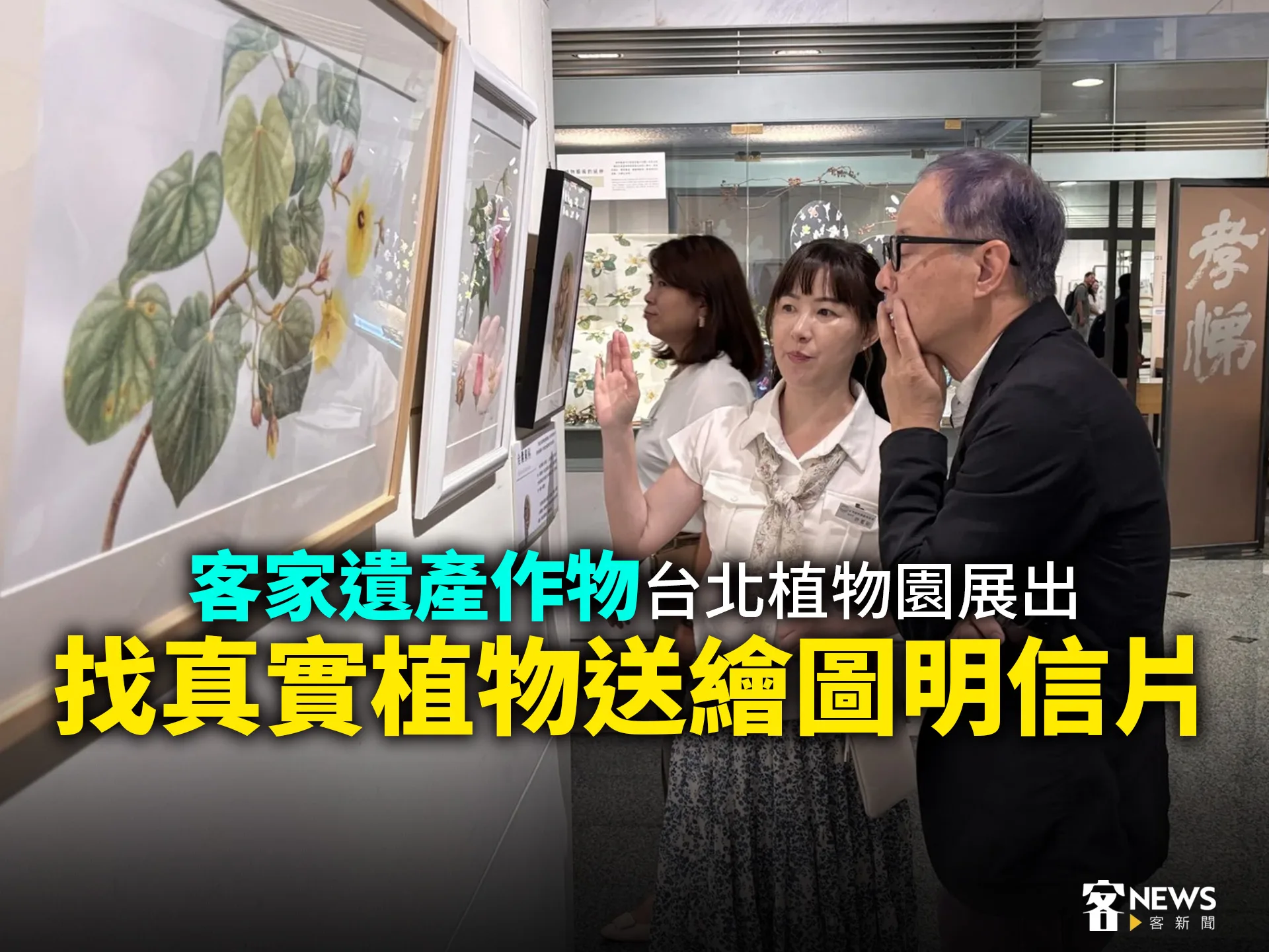 客家遺產作物台北植物園展出　找真實植物送繪圖明信片　