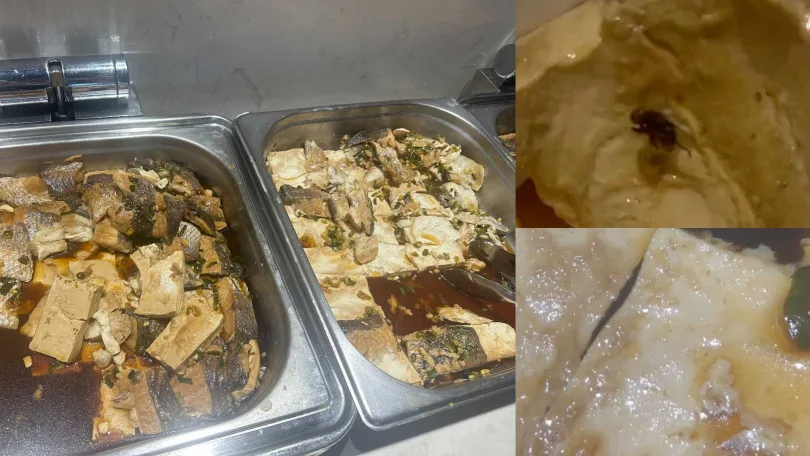週刊獨家爆料，樂天桃猿球員伙食出現死蒼蠅和活蛆。翻攝自CTWANT（民眾提供）