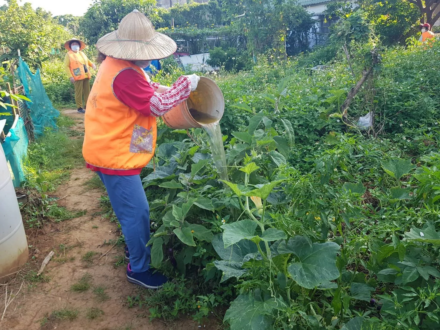 疾管署提醒，日前台灣各地有大雨，容易出現積水容器，產生孳生源，民眾清理家園時，務必落實「巡、倒、清、刷」，降低蚊媒傳播疾病感染風險。桃園市政府提供