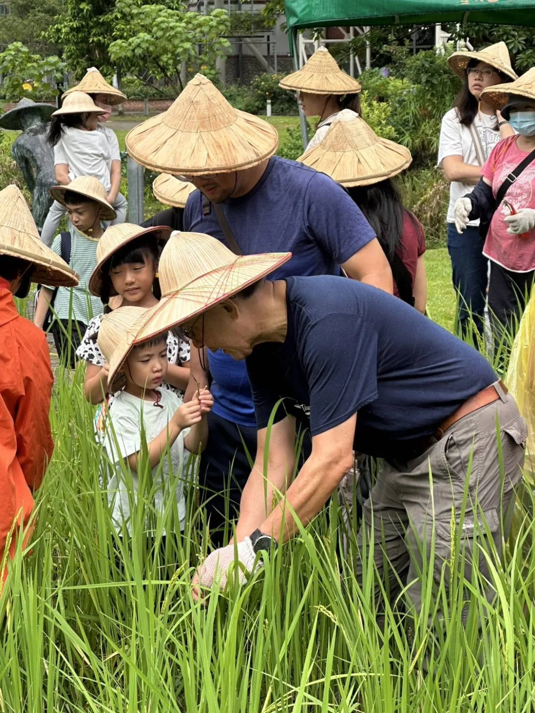 吳文德主委與民眾一同體驗割稻。臺北市政府客家事務委員會提供