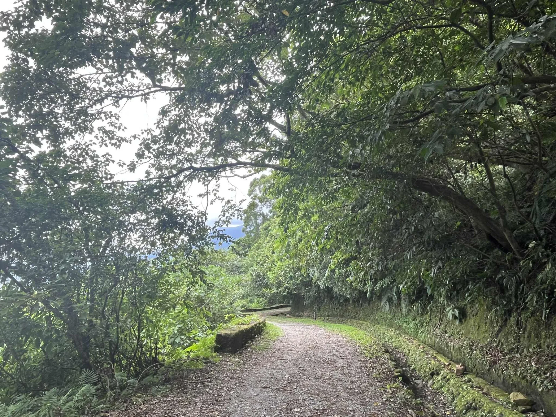佐倉步道視野開昶。林保署花蓮分署提供