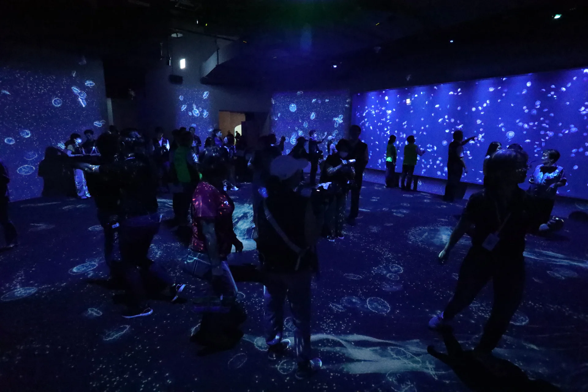 台中海洋館水母展區