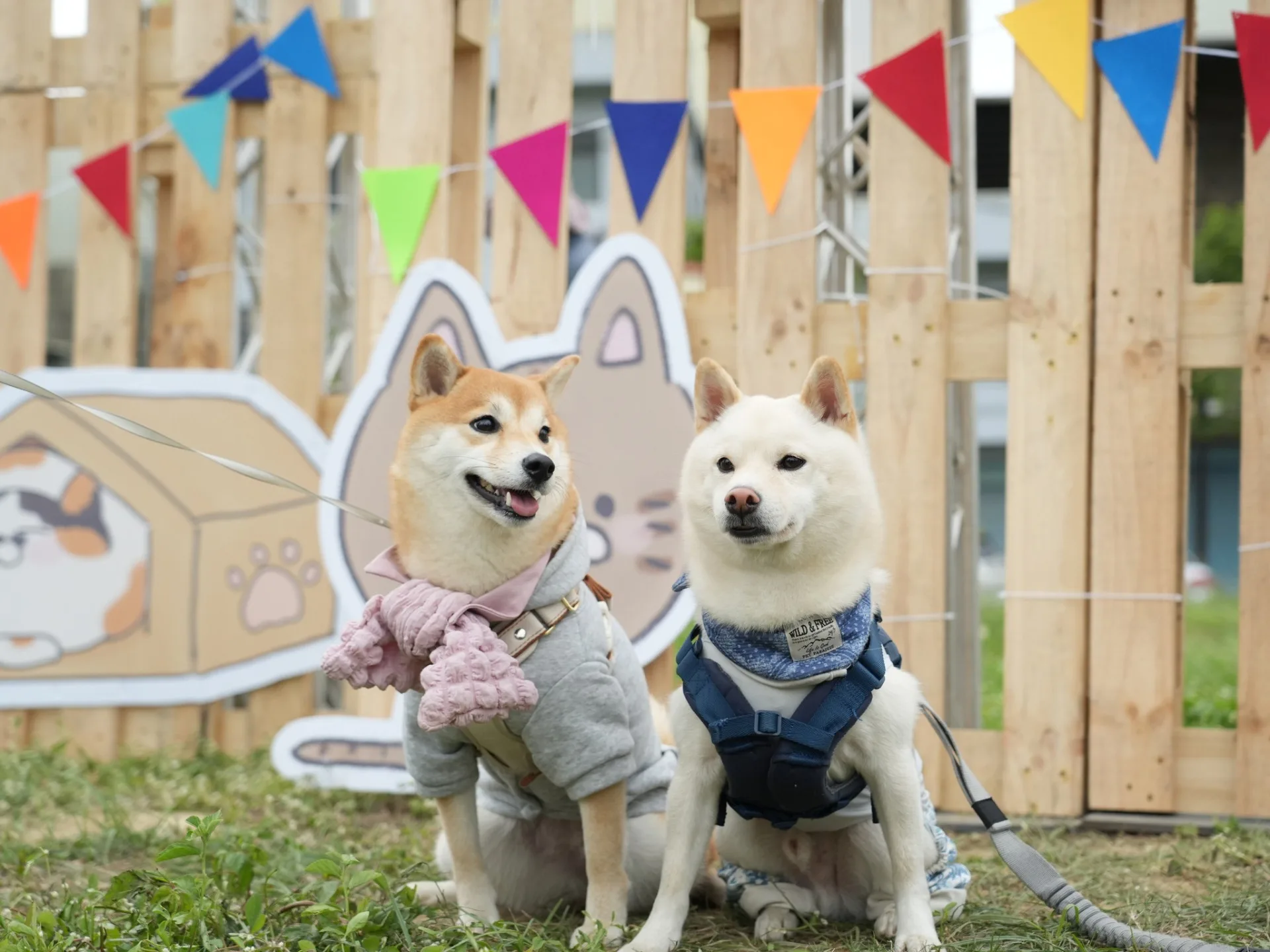 新竹市毛小孩運動會9/21北大公園登場（活動資料照）。新竹市政府提供