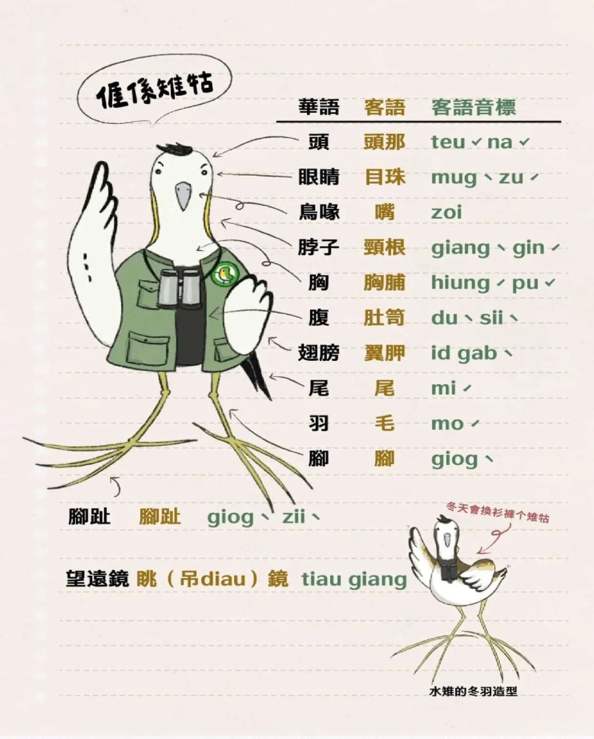 高雄市客委會與美濃愛鄉協進會合作《美濃山下个雉牯》客語繪本介紹客家詞彙用語。高雄市政府客家事務委員會提供