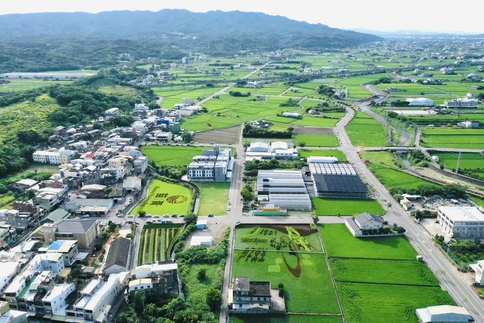 苑裡稻田彩繪超夢幻！媽祖 × 貓裏喵萌翻田間，秋收最潮打卡點。翻攝苑裡鎮農會