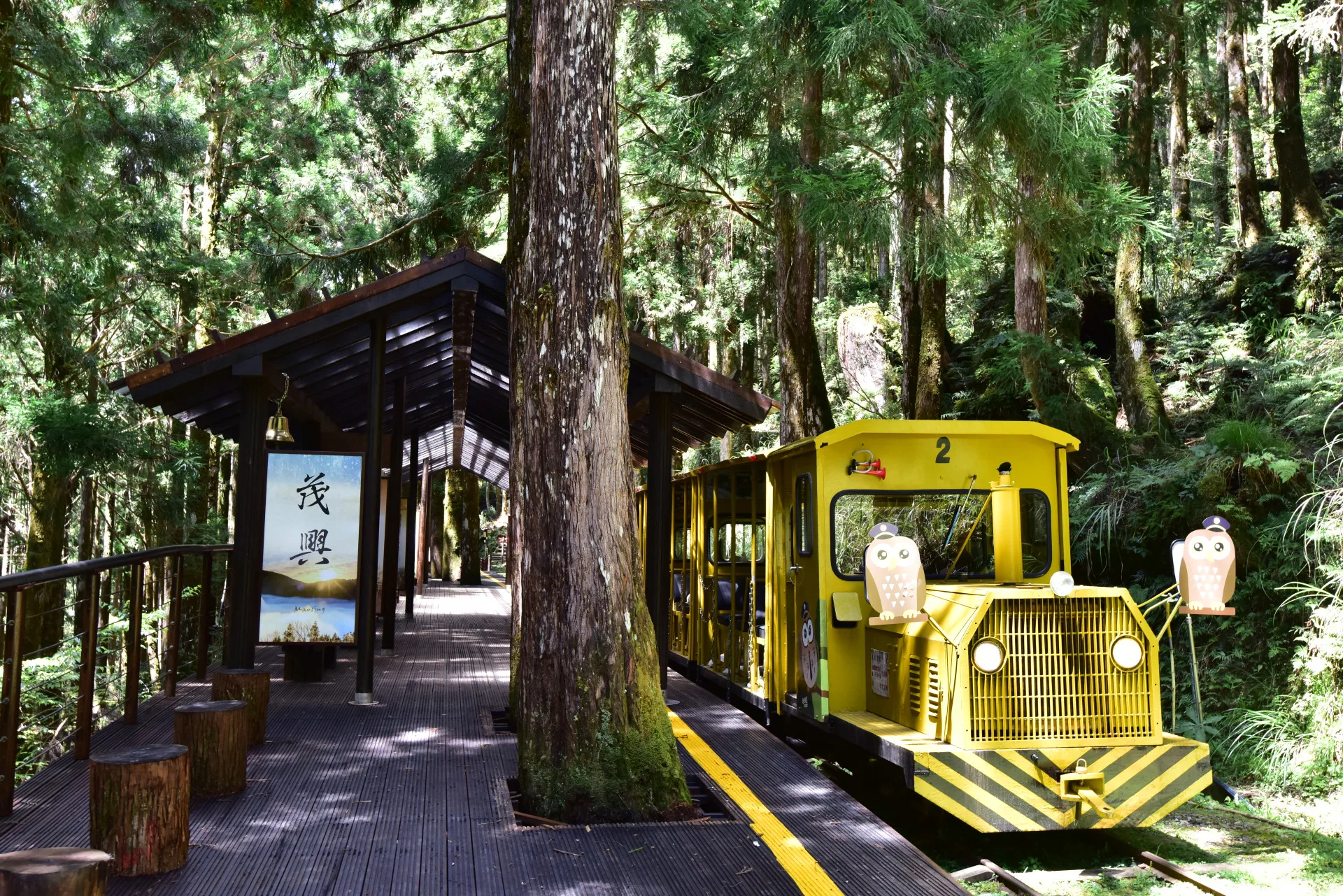 太平山國家森林遊樂區蹦蹦車(茂興車站)。林保署提供