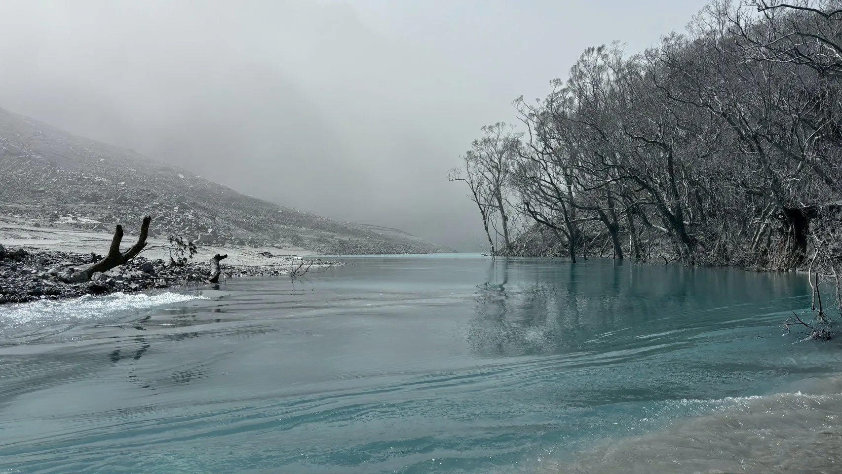 堰塞湖周邊森林植物全數因淹水後灰泥包覆死亡，湖面看似平靜實則水流快速，周圍粉塵瀰漫。林保署花蓮分署提供