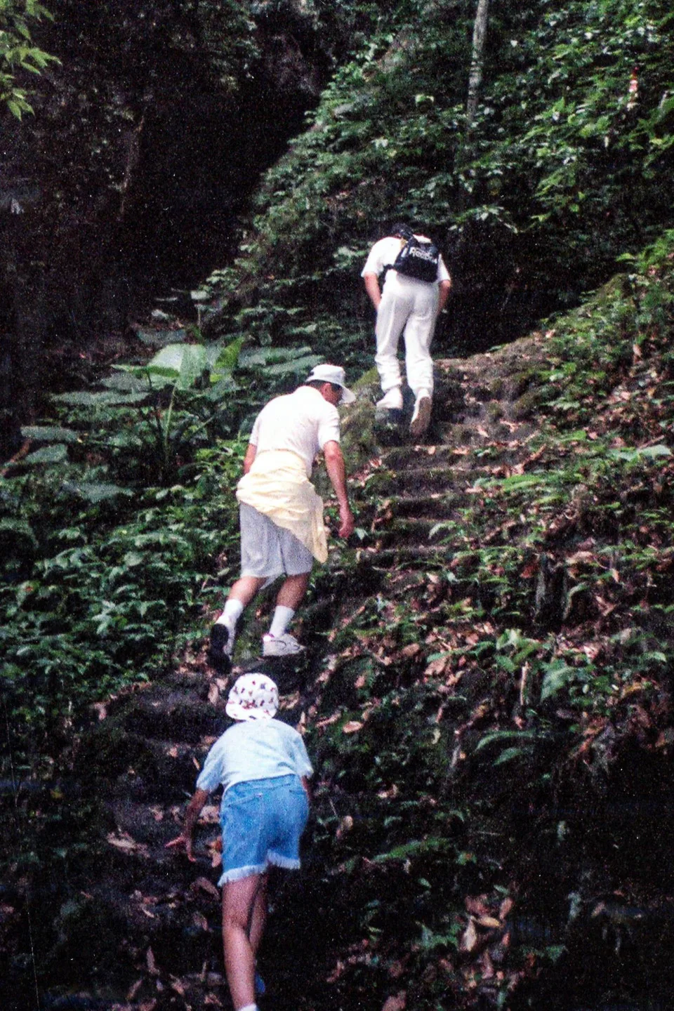 獅潭楔(錫)隘古道七十二段很陡,有「辭職崎」之稱,圖為近30年前山友爬楔(錫)隘古道的身影。何來美攝