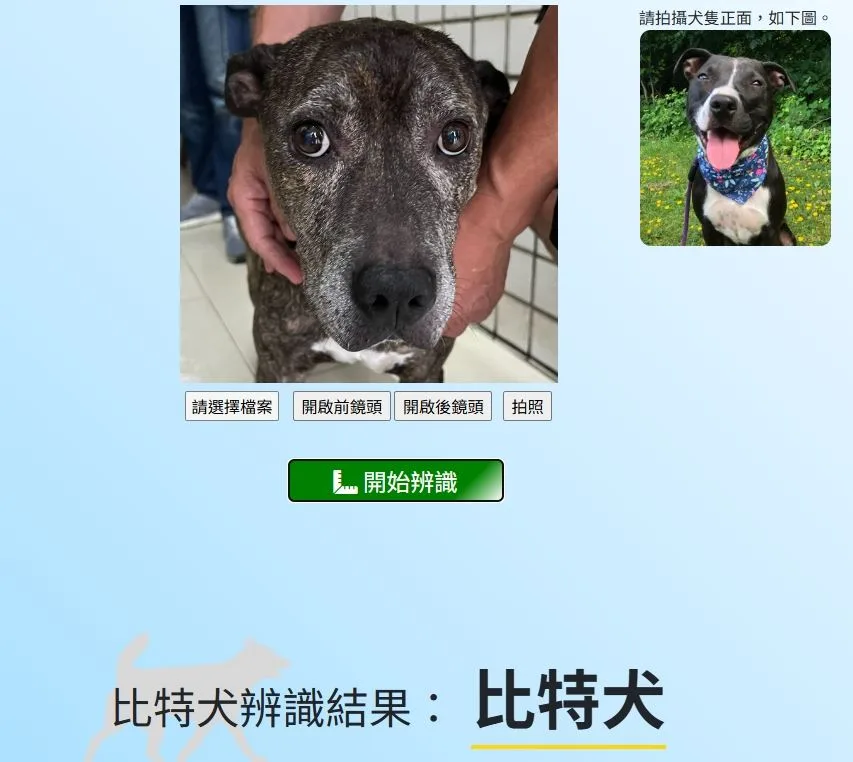 新竹縣動保所經拍照上傳確認咬傷雪橇犬的犬隻為比特犬。