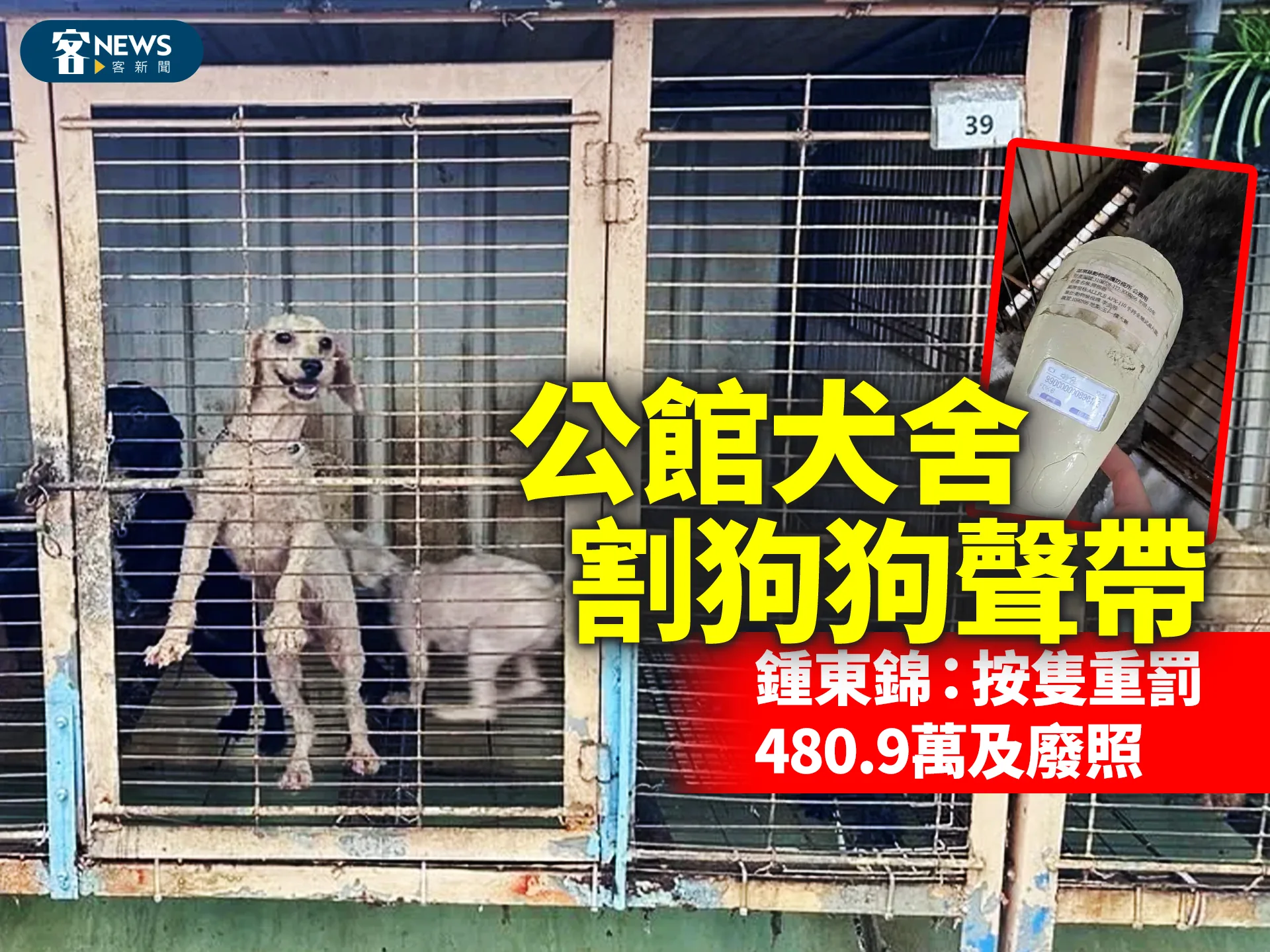 公館犬舍割狗狗聲帶　鍾東錦：按隻重罰480.9萬及廢照