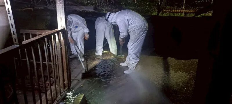 台中非洲豬瘟案場清消後,2區域仍驗出病毒DNA;台中市長盧秀燕28日在市政會議中表示,農業局已派員前往現場連夜清消到凌晨,並全面封鎖。中央社