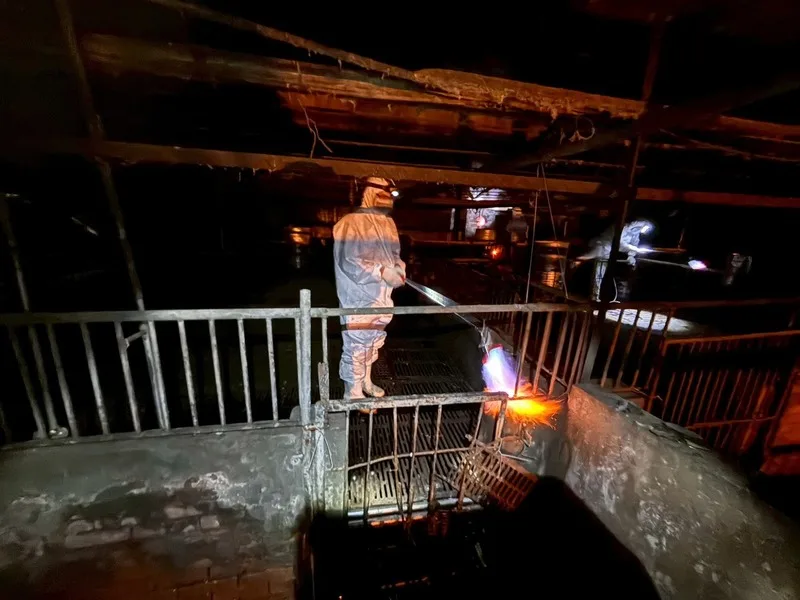 台中位於梧棲的養豬場爆發非洲豬瘟疫情,清消後仍驗出病毒,台中市府28日至29日凌晨再將案例場全面清消,並動用火焰槍上陣。中市府提供