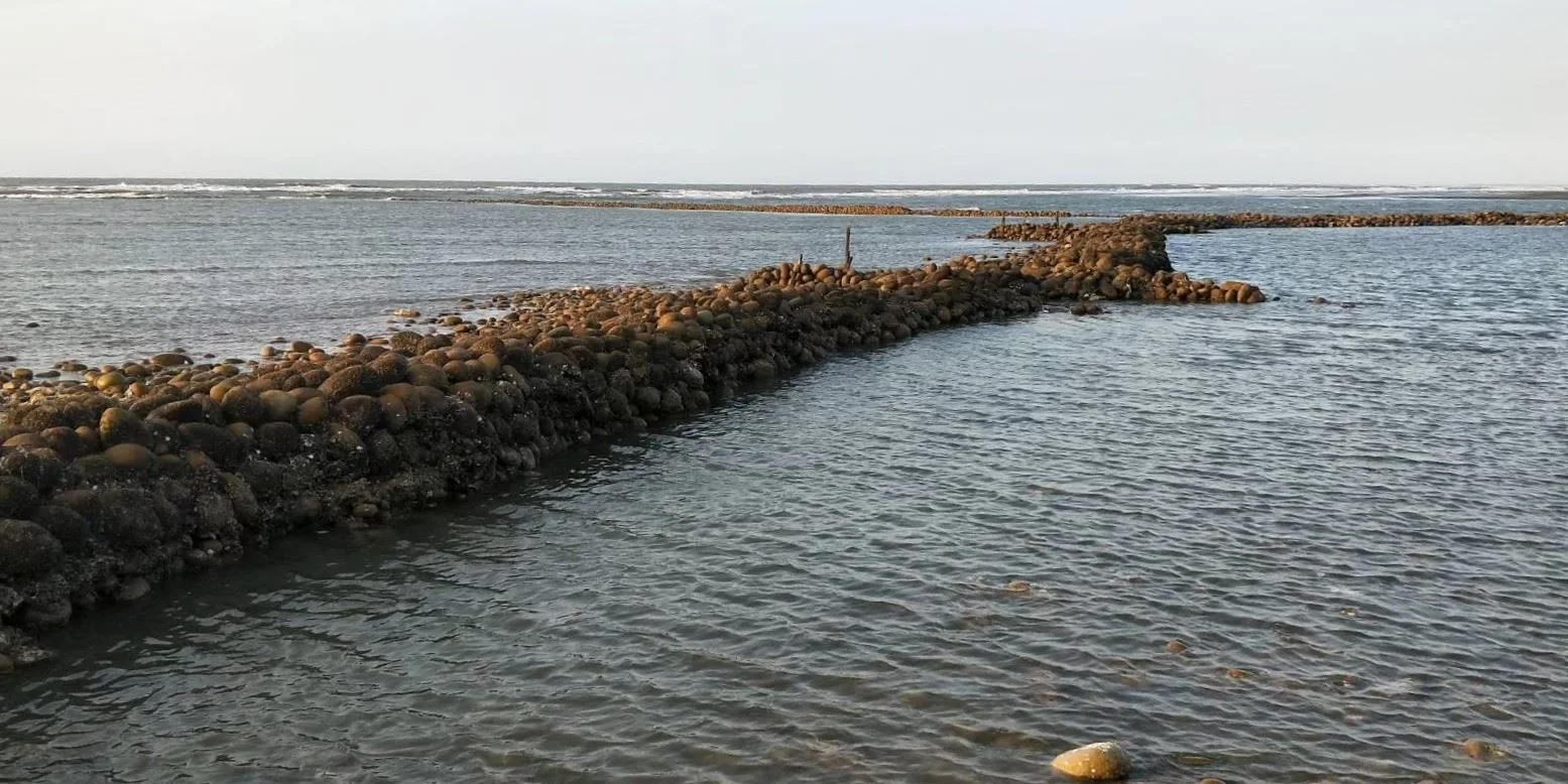 擁有百年歷史的新豐石滬,是新竹縣唯一的漁業歷史地景。
