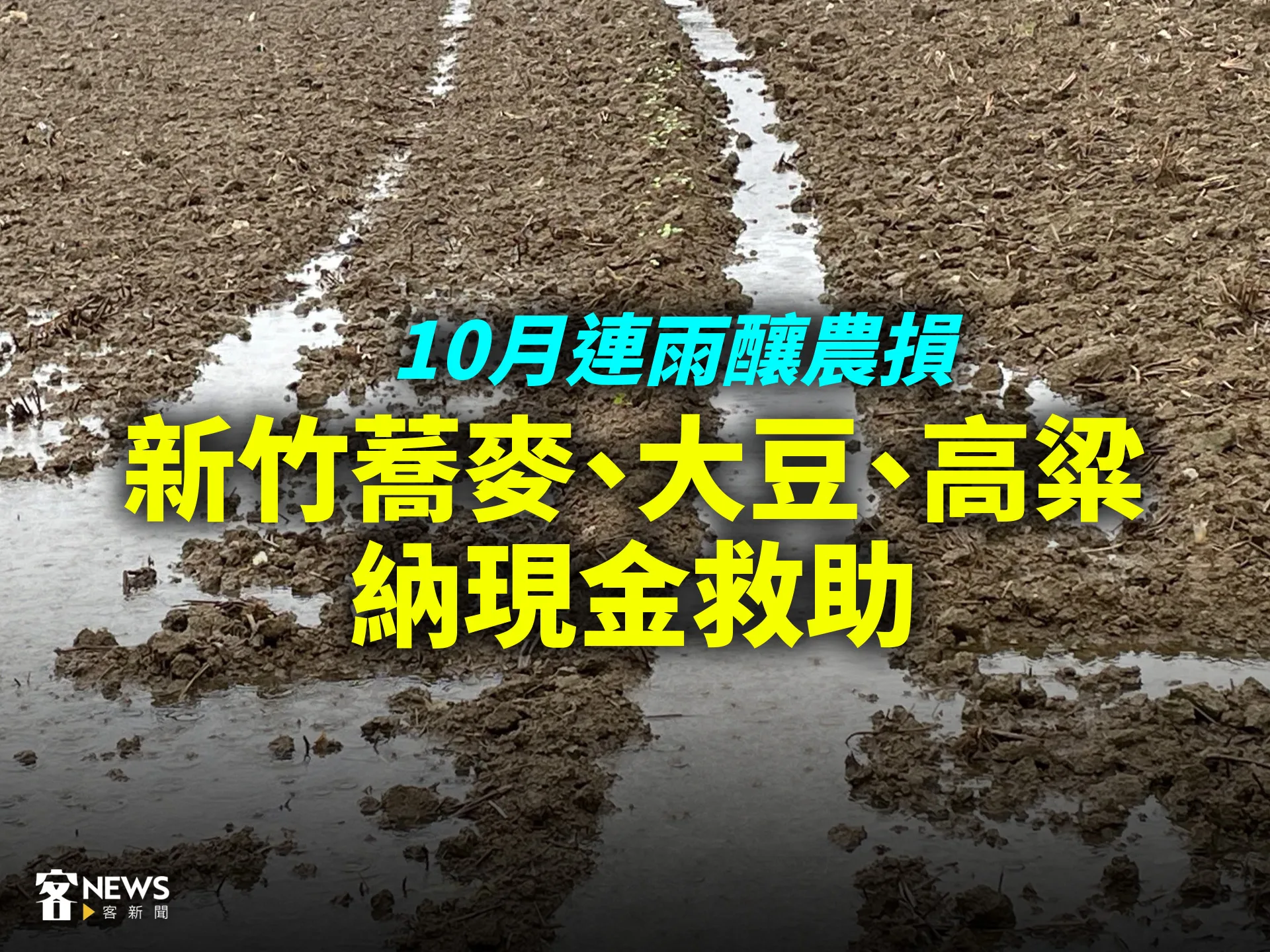 10月連雨釀農損　新竹蕎麥、大豆、高粱納現金救助