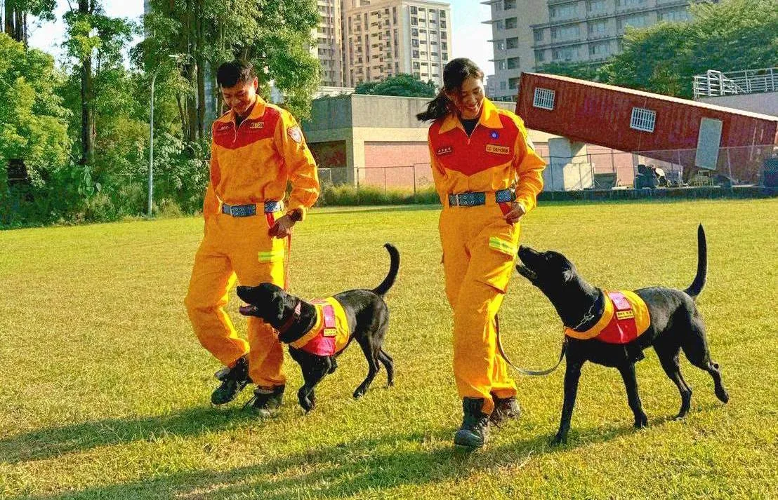 基隆市消防局特種搜救隊中2隻搜救犬Clint（克林）、Candice（坎蒂斯），10月中旬順利通過國際搜救犬組織A級（RH-TA）評量。基隆市政府提供
