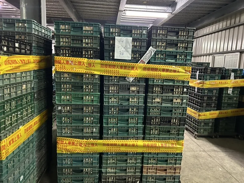 彰化文雅畜牧場雞蛋被檢出芬普尼，彰化縣政府10日再採樣送驗雞蛋及雞隻羽毛仍驗出；將依法裁罰新台幣12萬元。彰化縣政府提供
