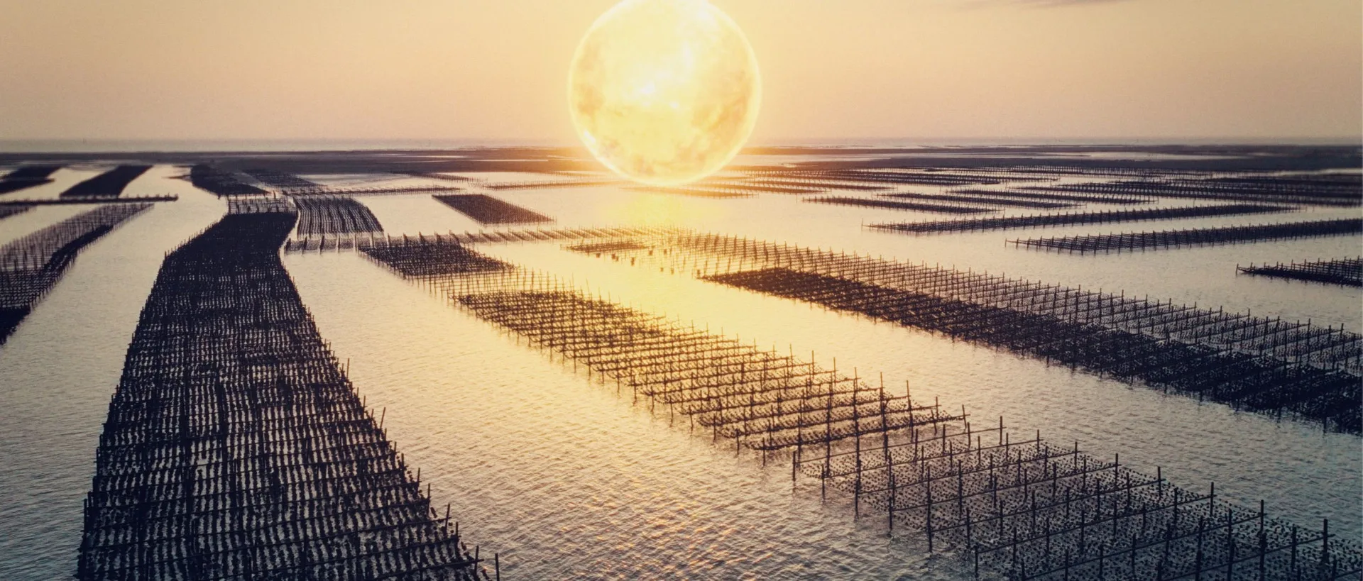 2026台灣燈會「太陽之都x嘉義人」形象影片截圖。嘉義文觀局提供