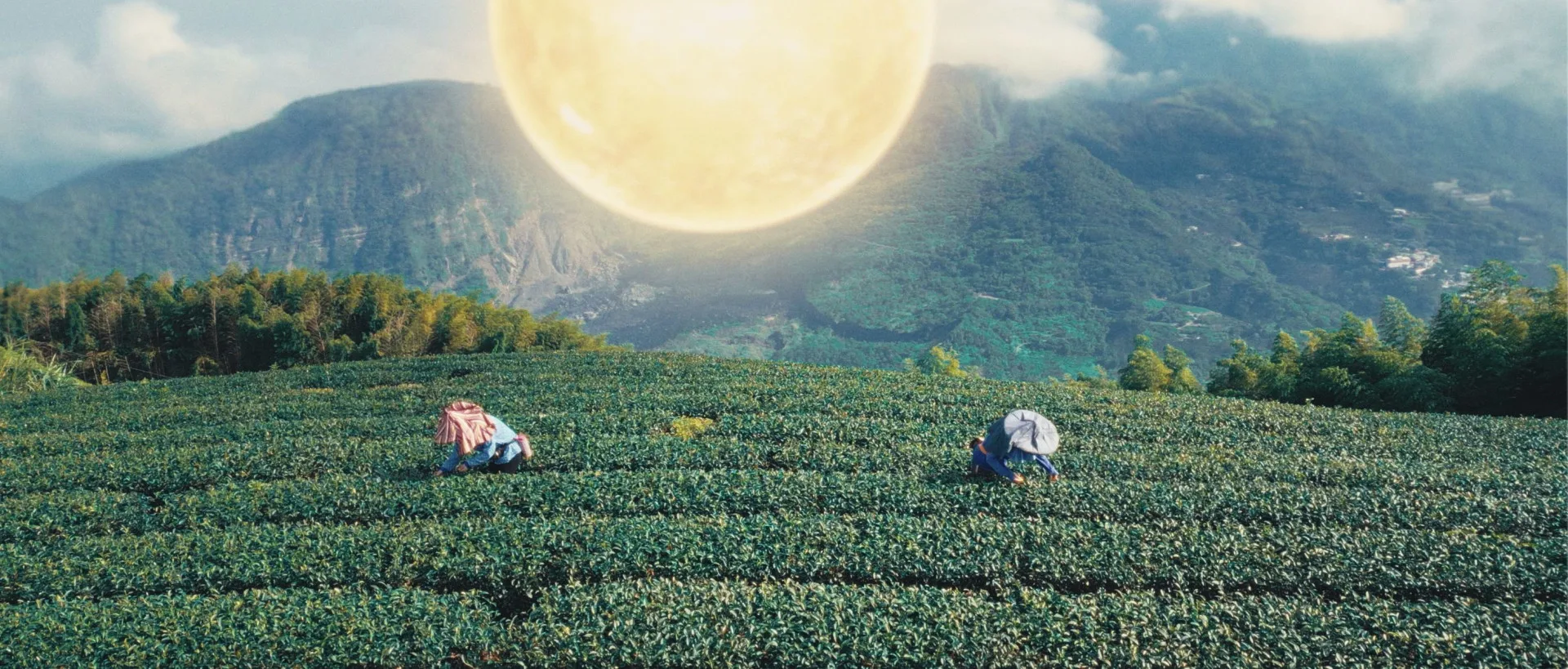 2026台灣燈會「太陽之都x嘉義人」形象影片截圖。嘉義文觀局提供