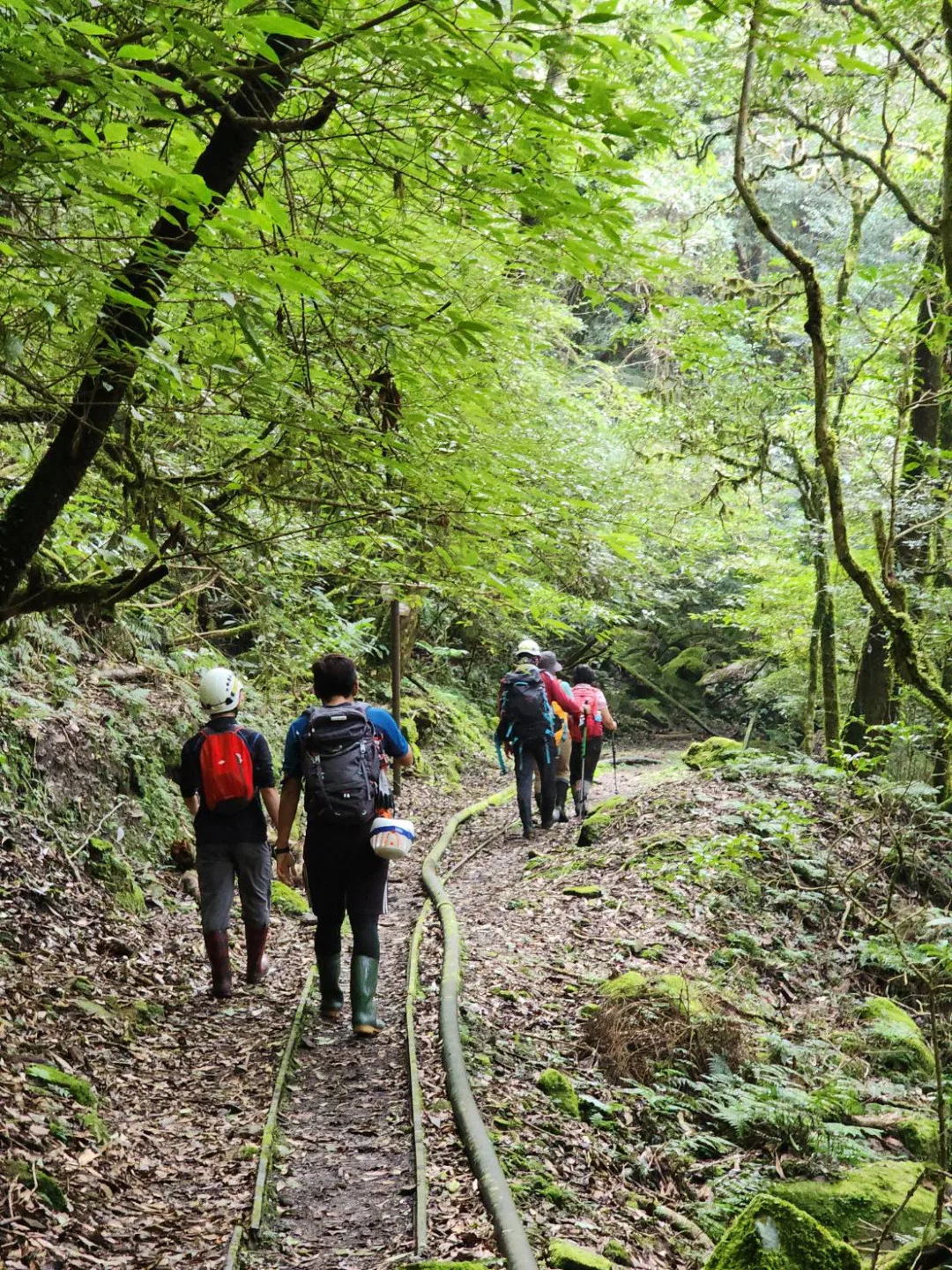 苗栗縣政府消防局第三大隊南庄分隊，11月15日出勤1起加里山迷途案件。苗栗縣政府消防局第三大隊南庄分隊提供