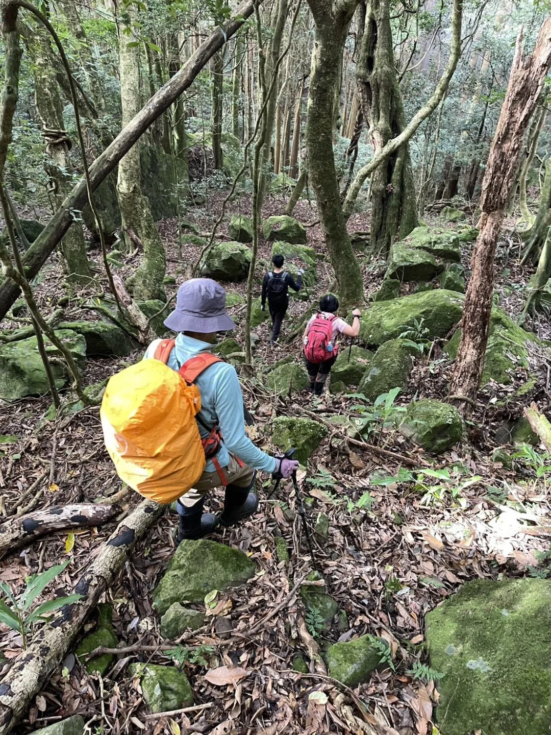 苗栗縣政府消防局提醒，近期山區天氣多變、雲霧易起，登山時務必提高警覺。苗栗縣政府消防局第三大隊南庄分隊提供