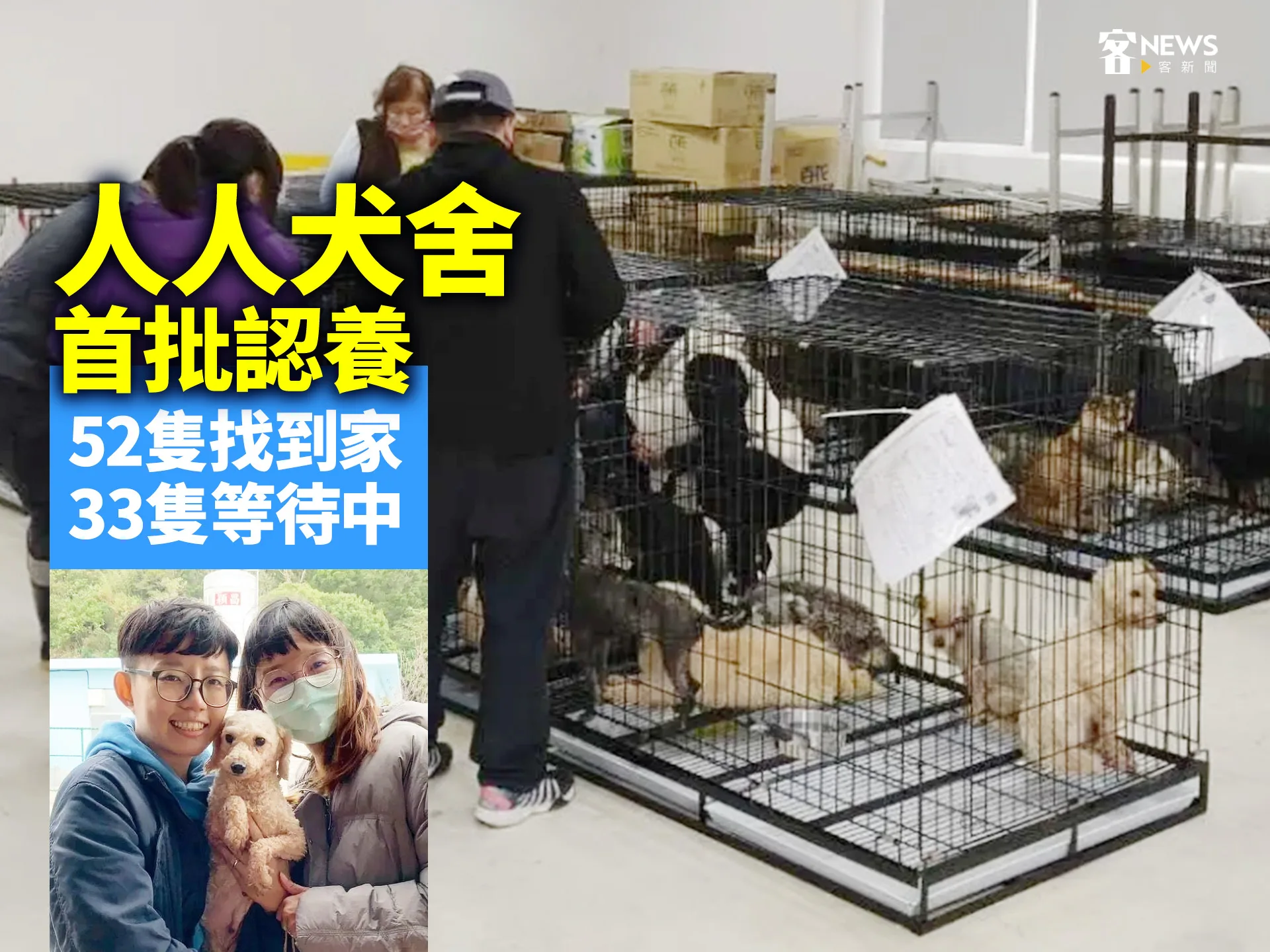 「人人犬舍」首批認養　52隻找到家、33隻等待中