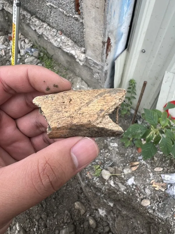 花蓮縣吉安鄉仁里五街一處住宅改建,疑挖到年代逾40年的人骨。文化局表示,下月將由國立清華大學專精人骨的學者現勘,決定是否要透過碳鑑定等方式確認年代。花蓮縣文化局提供