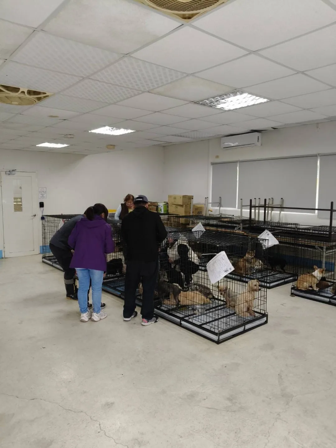 民眾在苗栗縣動物收容所與毛孩互動。苗縣府提供