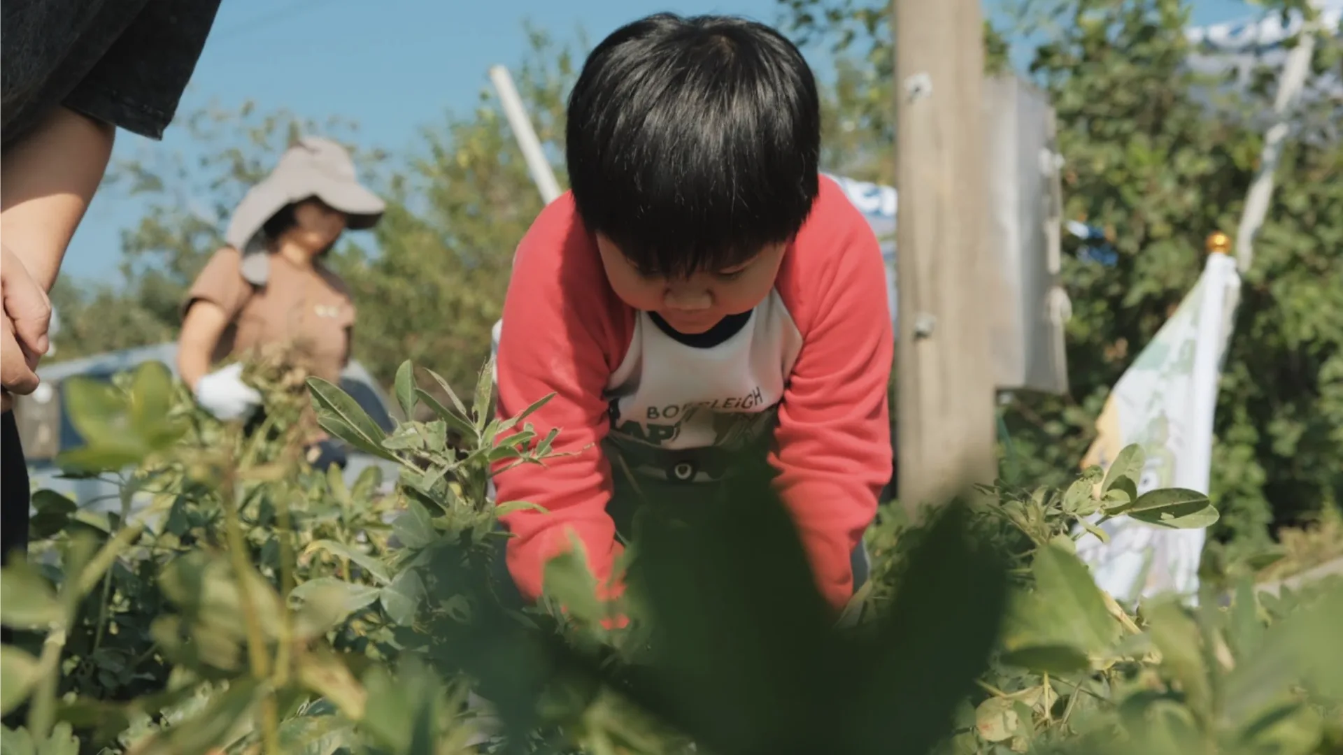 孩子們親身體驗挷地豆（bangˇ ti teu，詔安腔，拔花生），認識土地、感受貓兒干村的魅力。貓兒干村鄉下野生活 提供