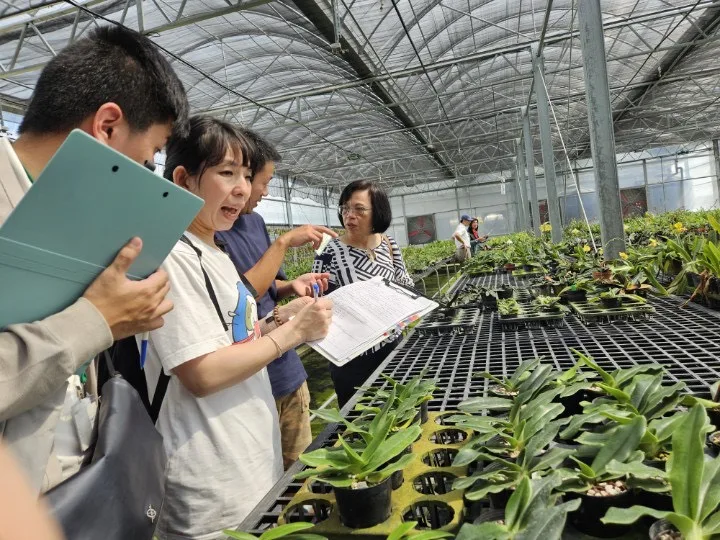 仙履蘭種苗場。農業部提供