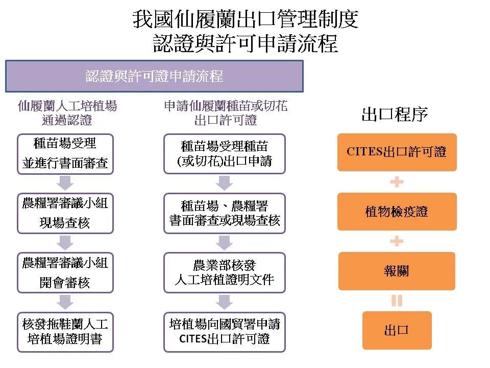 仙履蘭出口管理流程