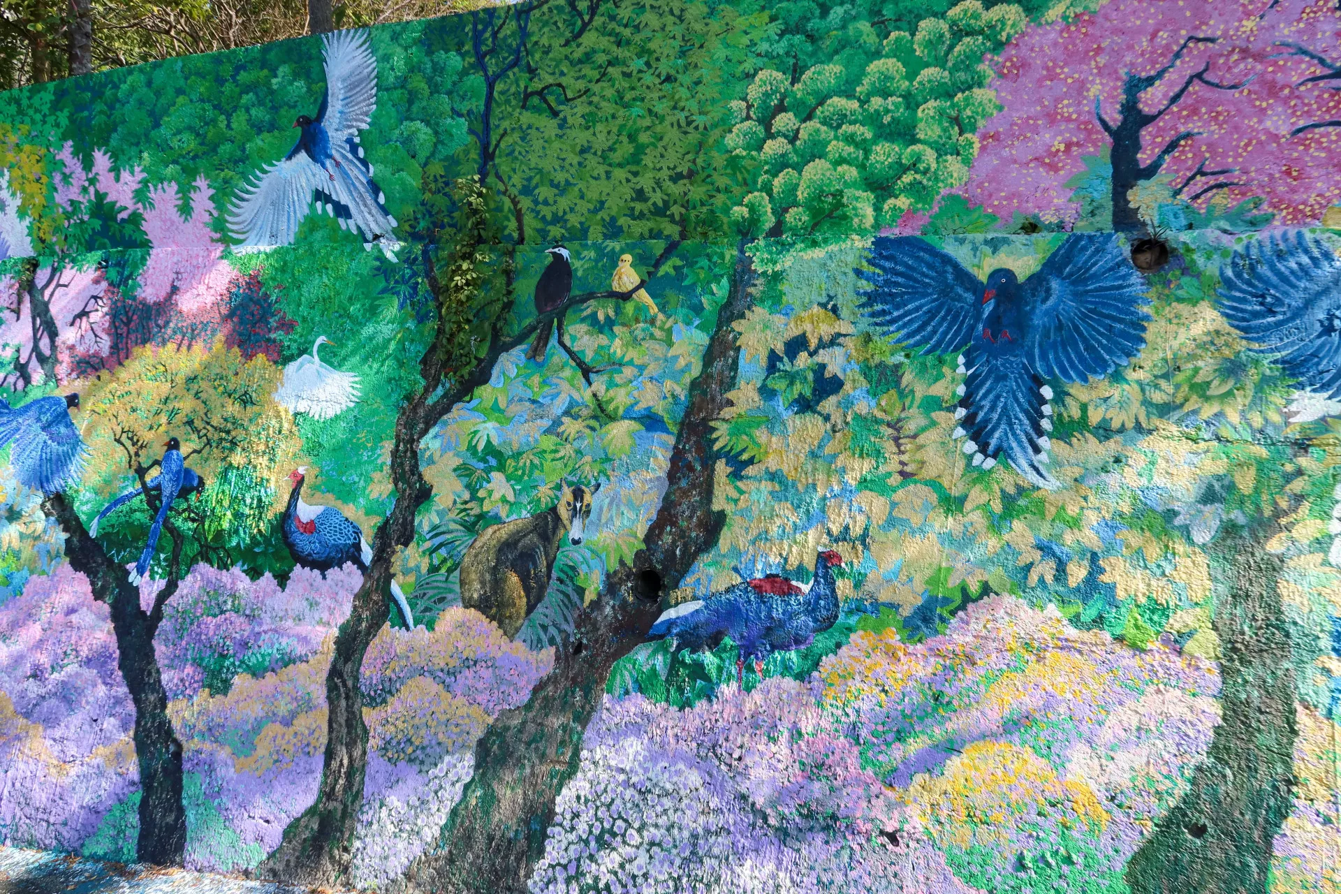 公館早年藍鵲、帝雉、梅花鹿、山羌…..等鳥獸活躍,于傳騏也在公館上福基的露營地彩繪應景。何來美攝