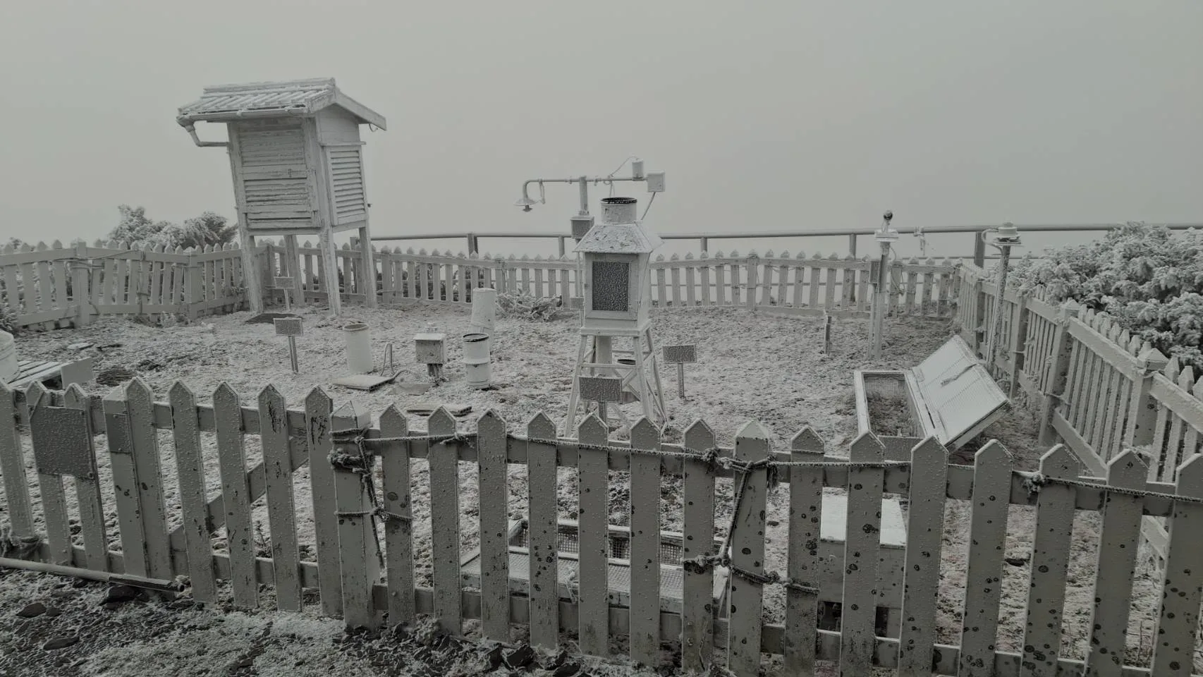 玉山今天下雪。氣象署提供