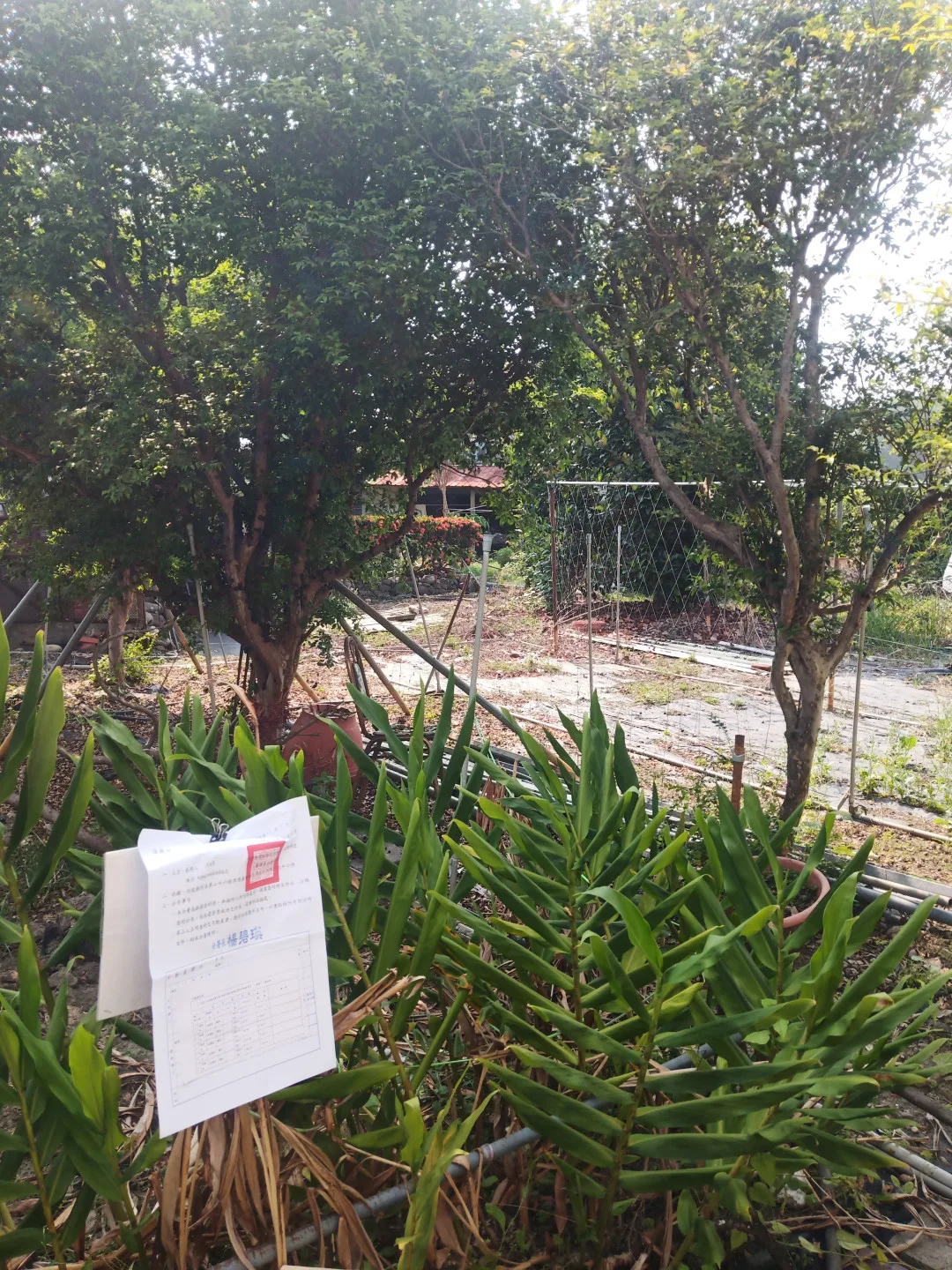 盜挖美濃砂石還拒繳300萬元罰款，陳姓男子繼承得來的五筆土地將遭拍賣。行政執行署高雄分署提供