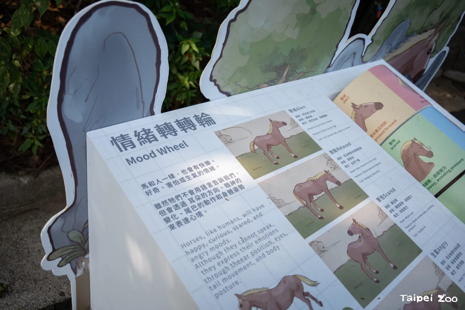 藉由「動物園智慧化導覽導航系統」，遊客需要實地觀察動物行為、研讀展板資訊，完成闖關解決偵探「霍斯」面臨的保育難題。台北市立動物園提供