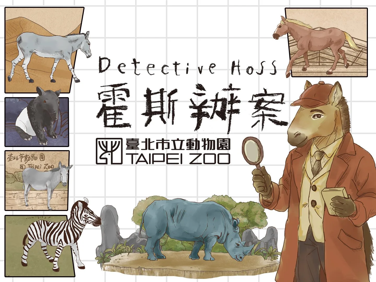台北市立動物園推出馬科動物特展與互動闖關遊戲「霍斯辦案」。台北市立動物園提供