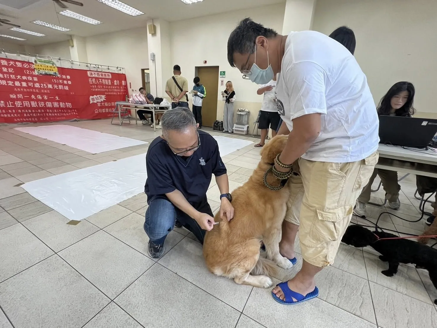 近3年高雄市民犬貓絕育補助數量呈現穩定成長趨勢，反映飼主對寵物飼養責任與源頭管理的重視度明顯提高。翻攝自高雄市動保處 臉書