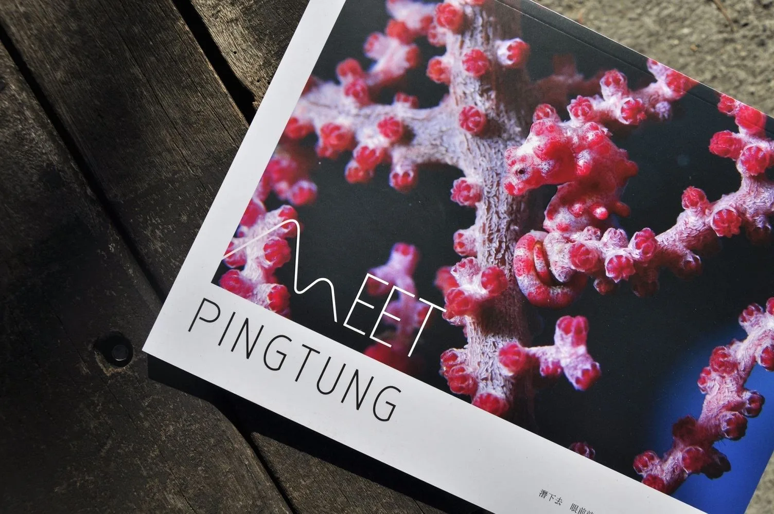 屏東旅遊工具出《Meet Pingtung》出刊，推薦海陸空玩法。屏東縣政府提供