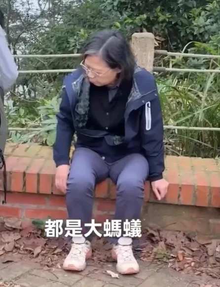 蔡英文沿途直呼螞蟻好大隻，比陽明山的還大。翻攝自蔡英文threads