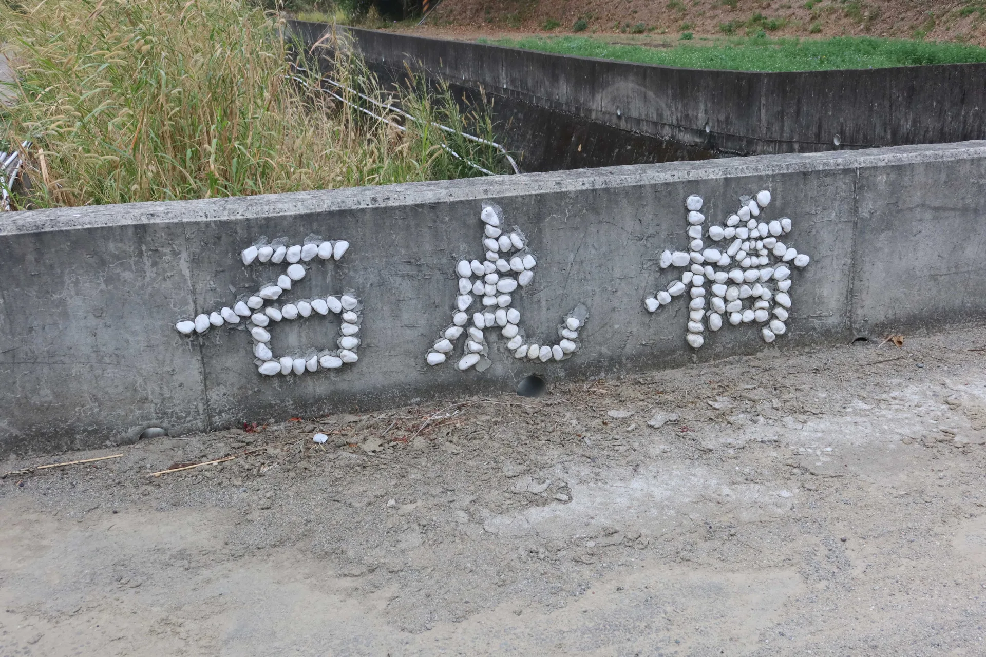 這座石虎橋是石虎常走的道路，沿途野草用割，不噴除草劑。何來美攝