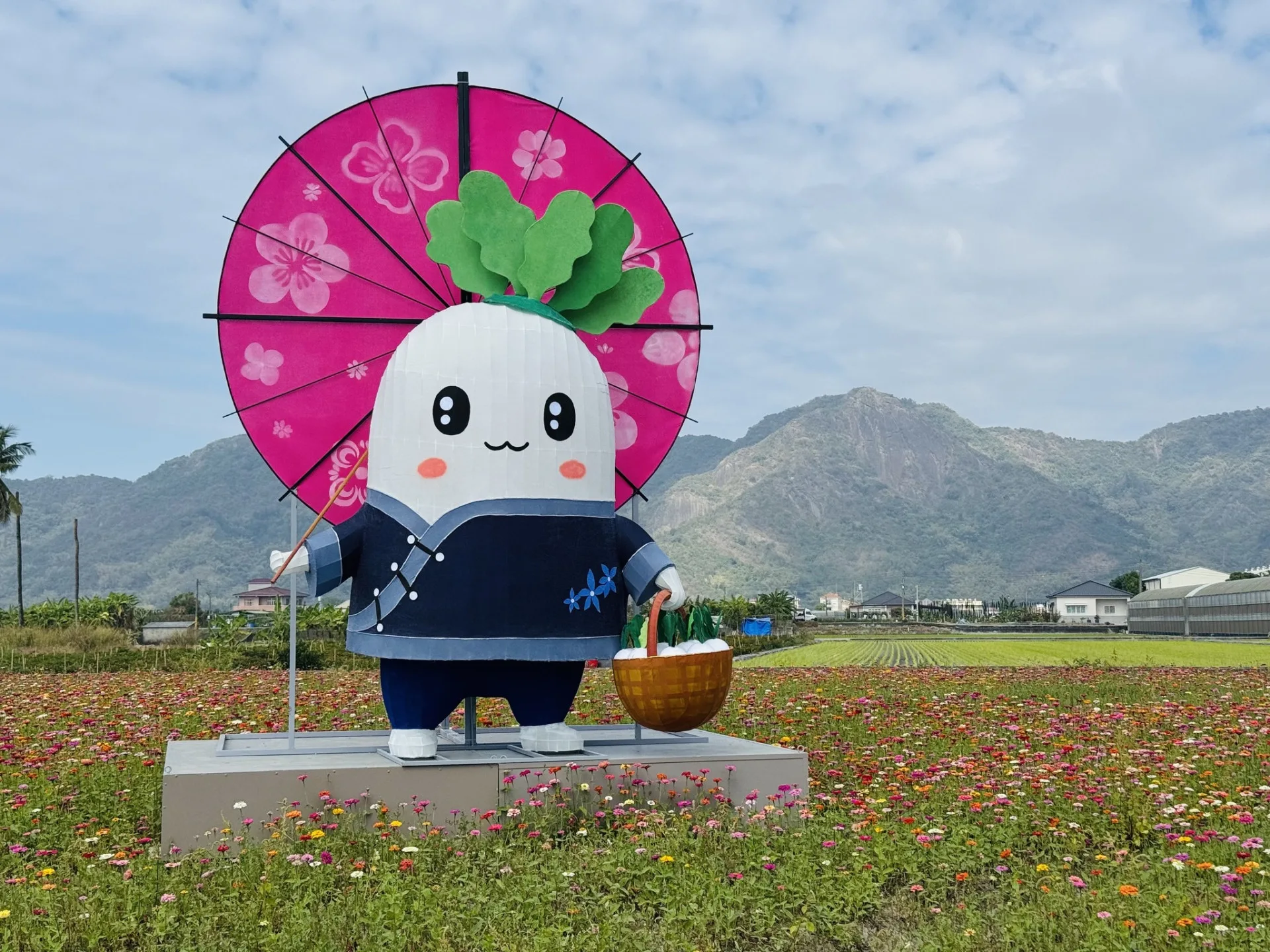 2026美濃花田，最佳賞花期為即日起到22日。美濃區公所提供