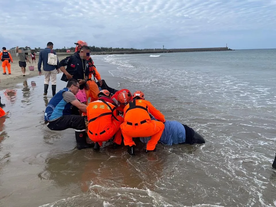 屏東縣車城鄉海口沙灘24日發現小虎鯨集體擱淺，海巡人員前往搶救。海巡署南部分署第六岸巡隊提供