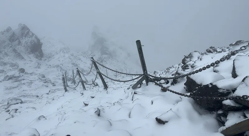 玉山積雪10公分步道濕滑　玉管處籲勿勉強上山
