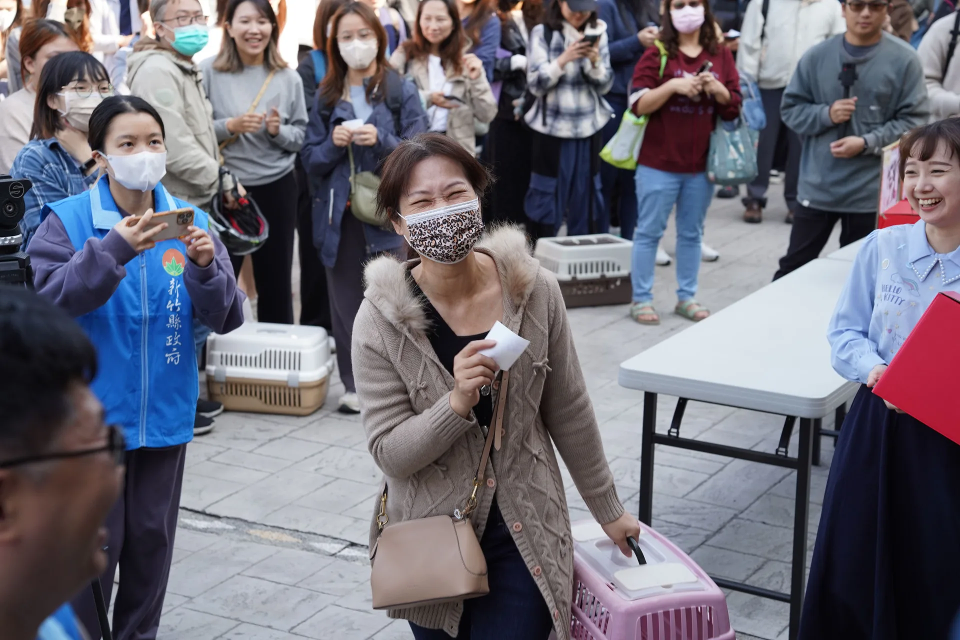 新竹8隻布偶貓認養　263人登記爭搶當貓奴