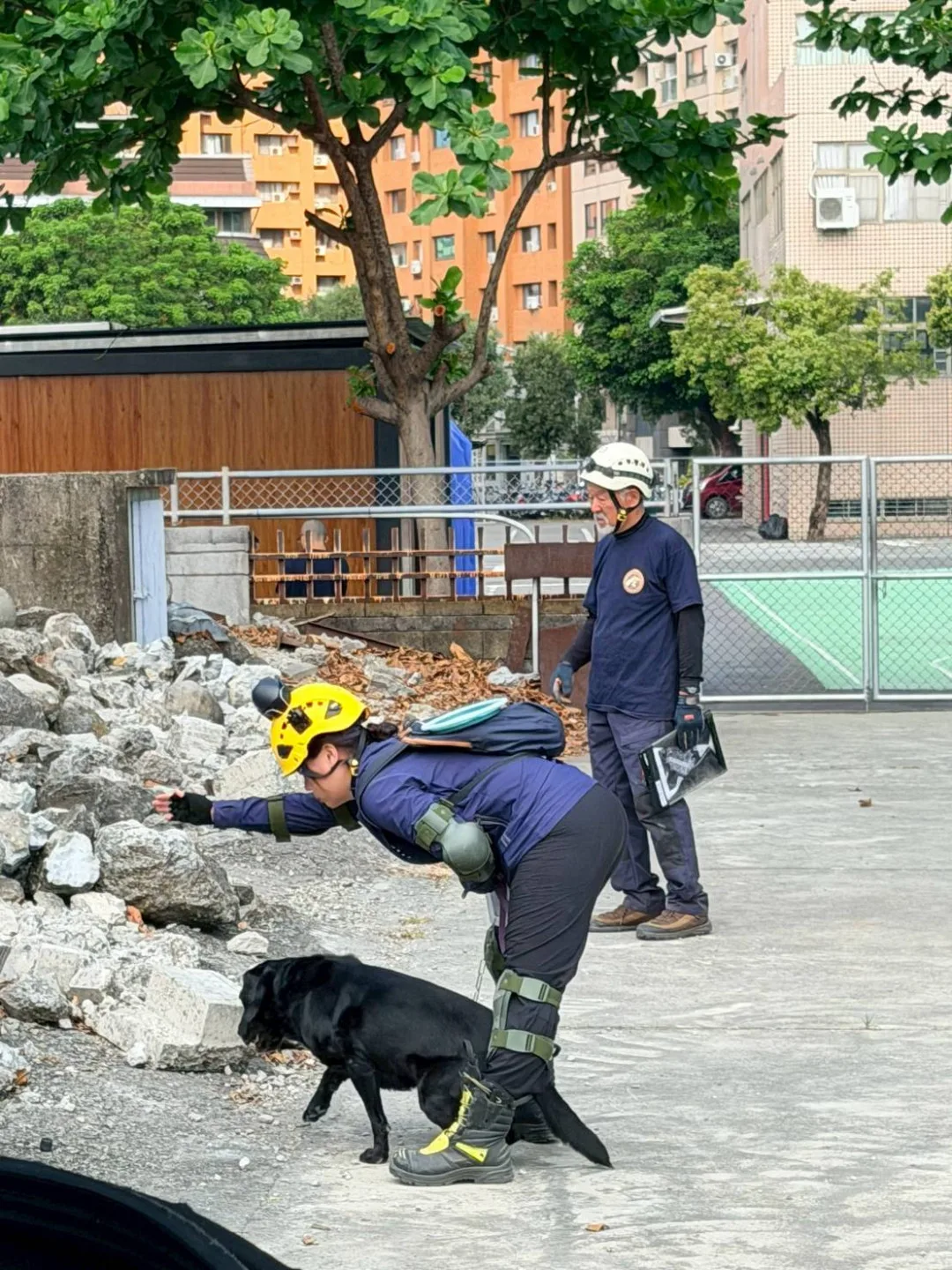 本次成立的義消搜救犬隊採「任務編組」運作,目前共有13名成員,包含專業領犬員及通過評量的搜救犬。高雄市消防局提供